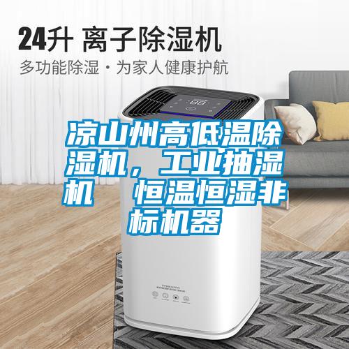 涼山州高低溫除濕機，工業抽濕機  恒溫恒濕非標機器