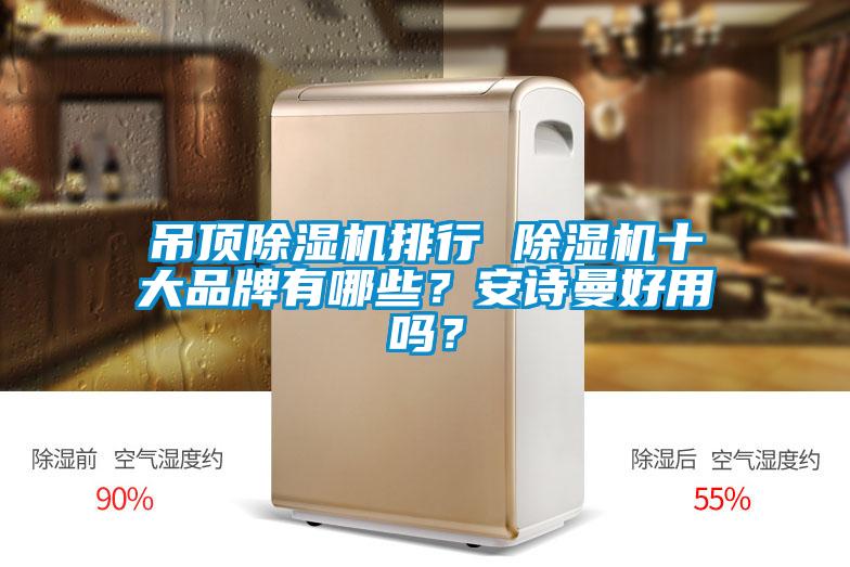 吊頂除濕機排行 除濕機十大品牌有哪些？安詩曼好用嗎？