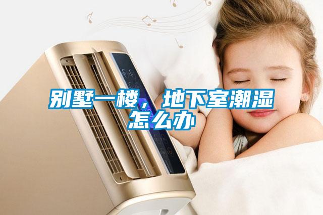 別墅一樓，地下室潮濕怎么辦
