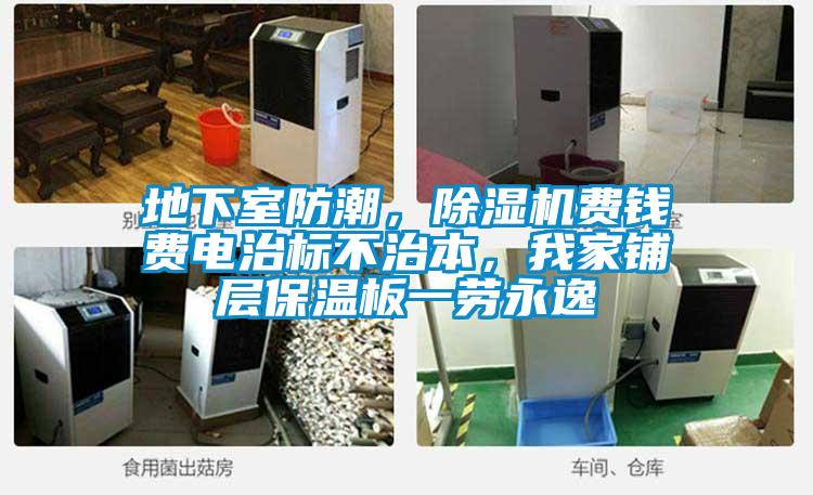 地下室防潮，除濕機費錢費電治標不治本，我家鋪層保溫板一勞永逸