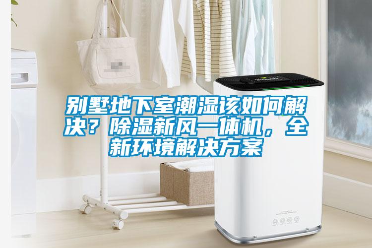 別墅地下室潮濕該如何解決？除濕新風一體機，全新環境解決方案