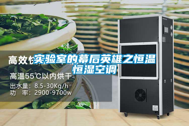 實驗室的幕后英雄之恒溫恒濕空調