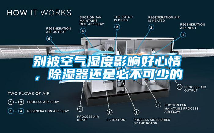 別被空氣濕度影響好心情，除濕器還是必不可少的