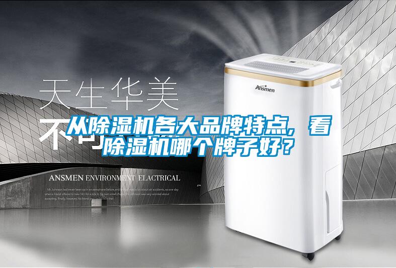 從除濕機各大品牌特點, 看除濕機哪個牌子好？