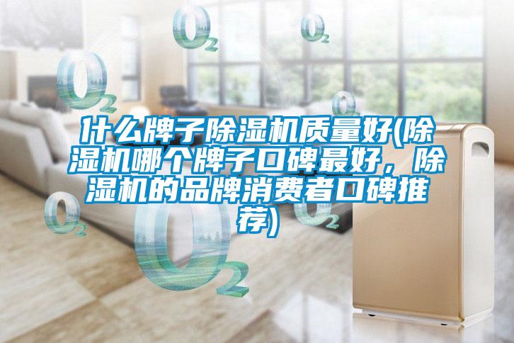 什么牌子除濕機質量好(除濕機哪個牌子口碑最好，除濕機的品牌消費者口碑推薦)