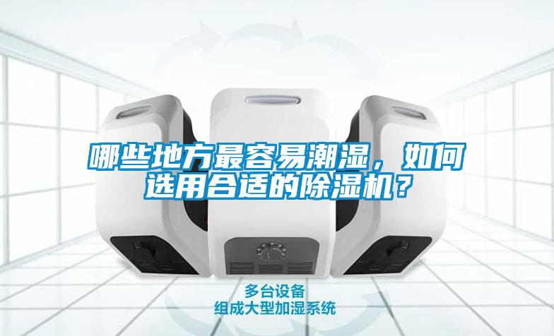 哪些地方最容易潮濕，如何選用合適的除濕機？