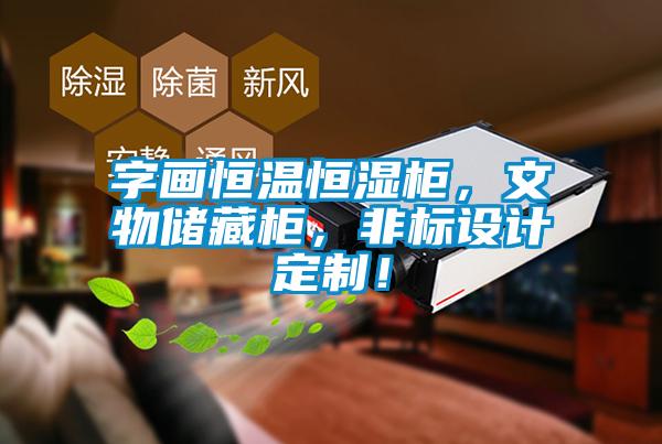 字畫恒溫恒濕柜，文物儲藏柜，非標設計定制！