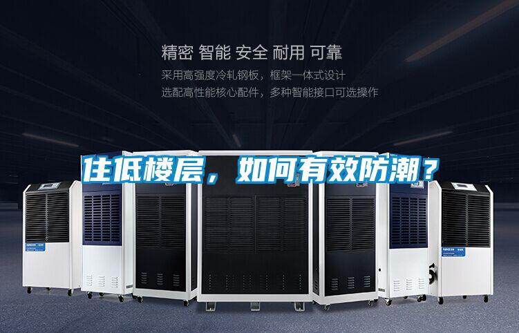 住低樓層，如何有效防潮？