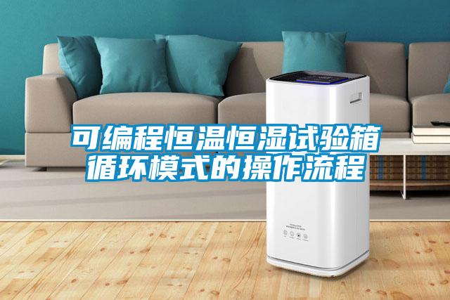 可編程恒溫恒濕試驗箱循環模式的操作流程