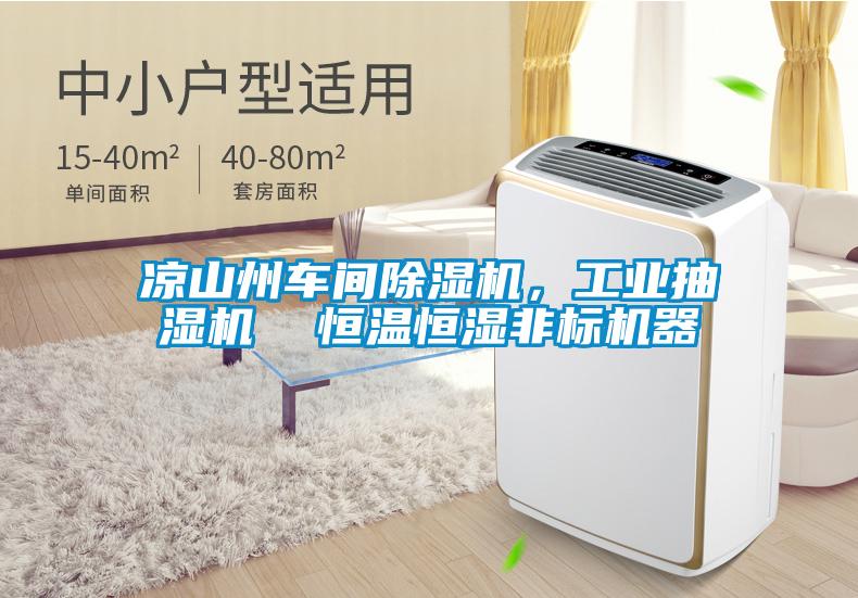 涼山州車間除濕機，工業抽濕機  恒溫恒濕非標機器