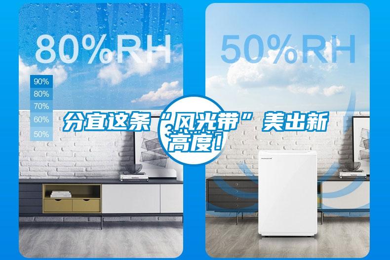 分宜這條“風光帶”美出新高度！