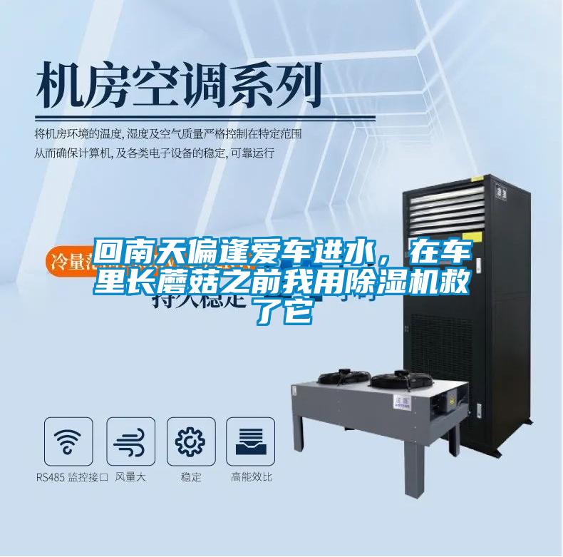回南天偏逢愛車進水，在車里長蘑菇之前我用除濕機救了它