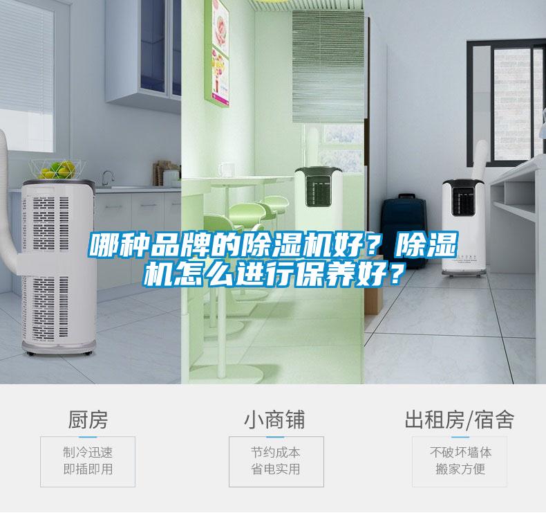 哪種品牌的除濕機好？除濕機怎么進行保養好？