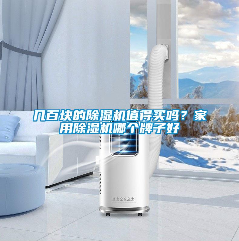 幾百塊的除濕機值得買嗎？家用除濕機哪個牌子好