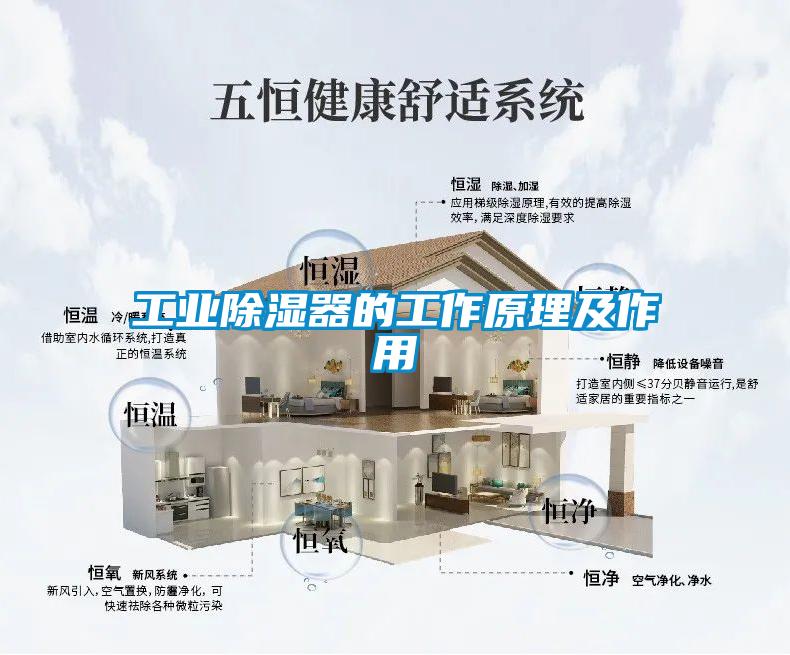 工業除濕器的工作原理及作用