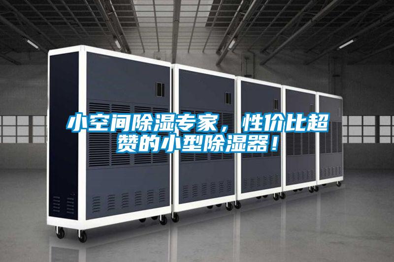 小空間除濕專家，性價比超贊的小型除濕器！