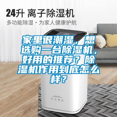 家里很潮濕，想選購一臺除濕機，好用的推薦？除濕機作用到底怎么樣？