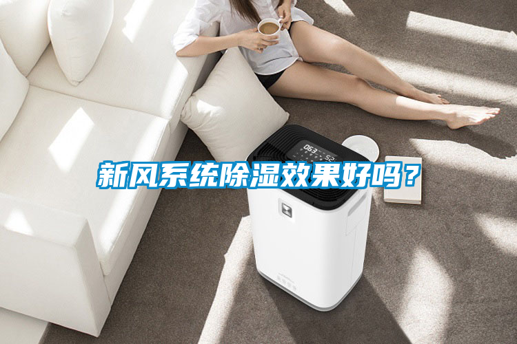 新風系統除濕效果好嗎？