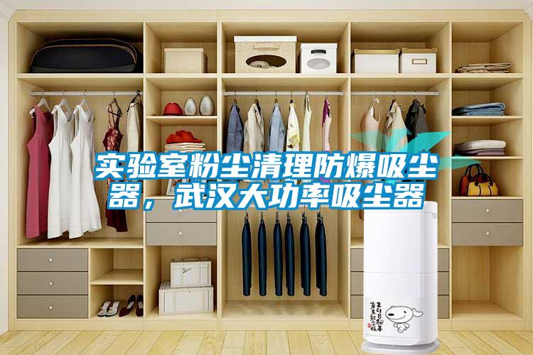 實驗室粉塵清理防爆吸塵器，武漢大功率吸塵器