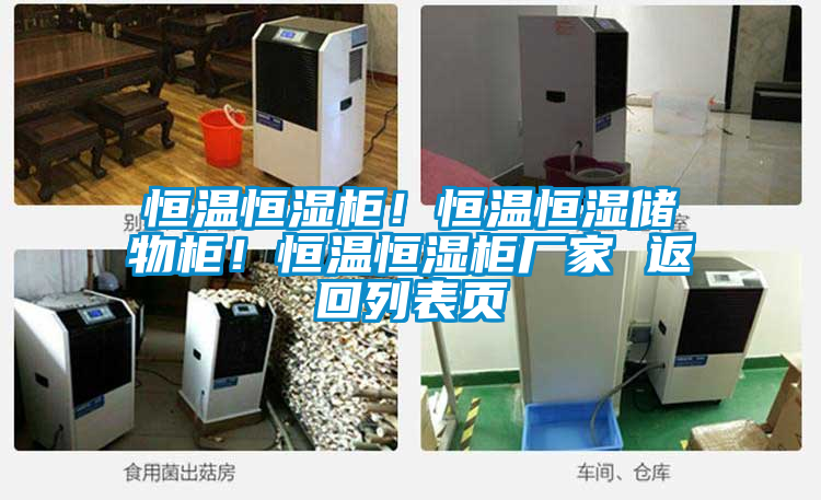 恒溫恒濕柜！恒溫恒濕儲物柜！恒溫恒濕柜廠家 返回列表頁