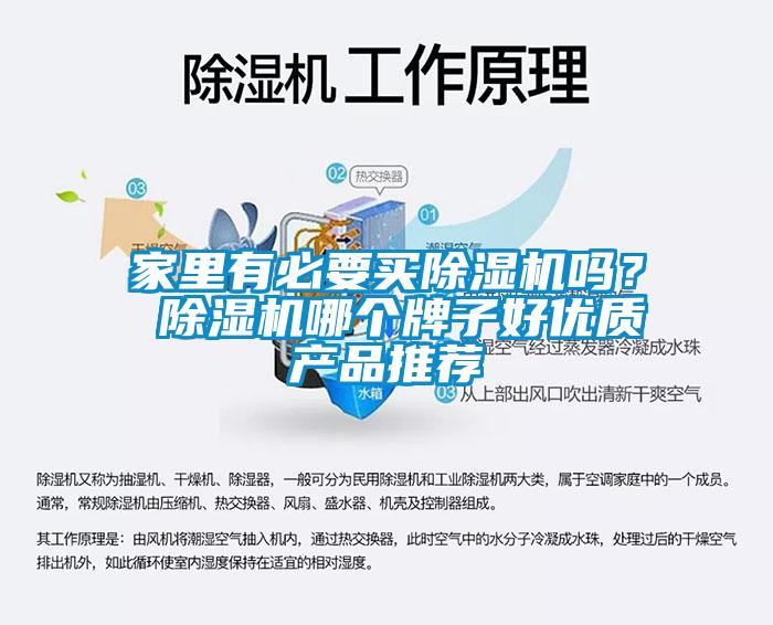 家里有必要買除濕機嗎？ 除濕機哪個牌子好優質產品推薦