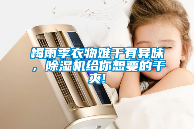 梅雨季衣物難干有異味，除濕機給你想要的干爽!