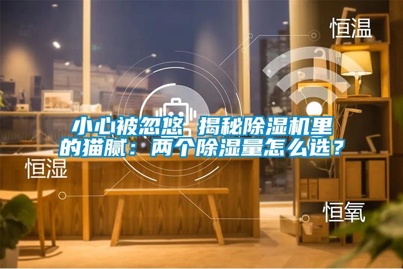小心被忽悠 揭秘除濕機里的貓膩：兩個除濕量怎么選？