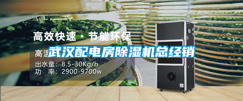 武漢配電房除濕機總經銷