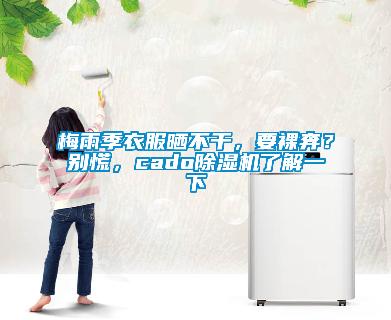梅雨季衣服曬不干，要裸奔？別慌，cado除濕機了解一下