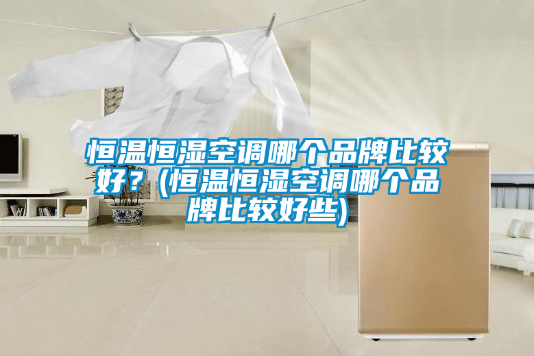 恒溫恒濕空調哪個品牌比較好？(恒溫恒濕空調哪個品牌比較好些)