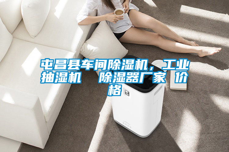 屯昌縣車間除濕機，工業抽濕機  除濕器廠家 價格