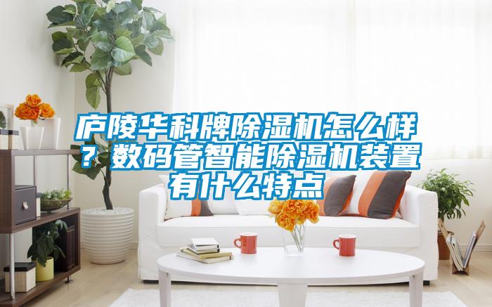 廬陵華科牌除濕機怎么樣？數碼管智能除濕機裝置有什么特點