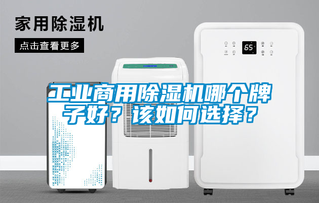 工業商用除濕機哪個牌子好？該如何選擇？