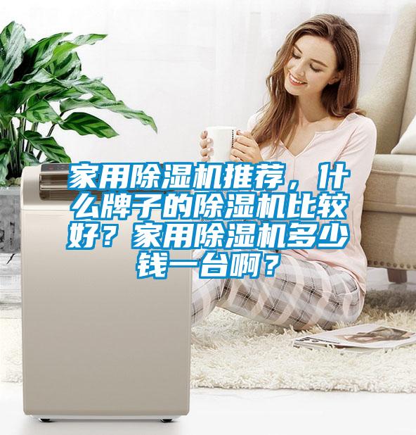 家用除濕機推薦，什么牌子的除濕機比較好？家用除濕機多少錢一臺?。?/></p>
<p style=