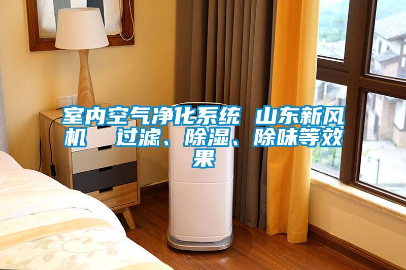 室內空氣凈化系統 山東新風機  過濾、除濕、除味等效果