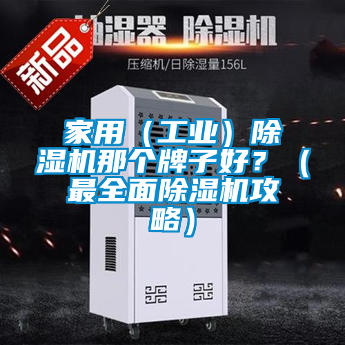 家用（工業）除濕機那個牌子好？（最全面除濕機攻略）