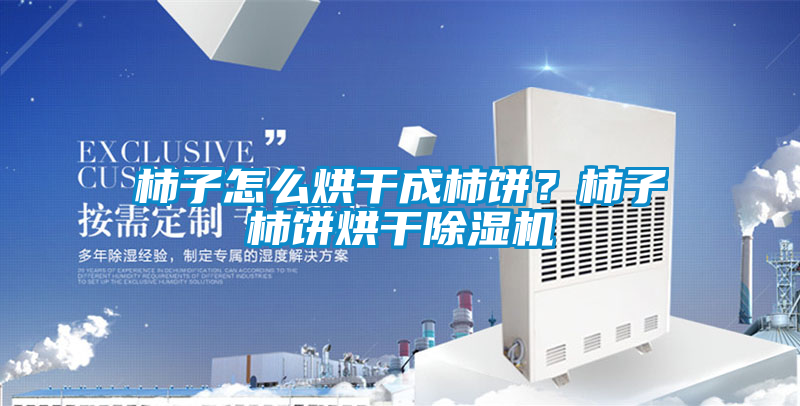 柿子怎么烘干成柿餅？柿子柿餅烘干除濕機