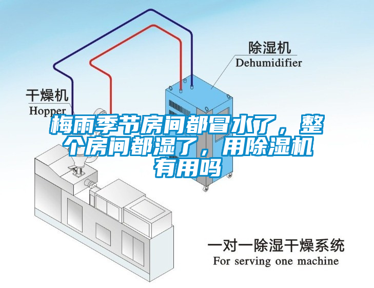梅雨季節房間都冒水了，整個房間都濕了，用除濕機有用嗎