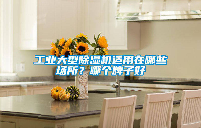 工業大型除濕機適用在哪些場所？哪個牌子好
