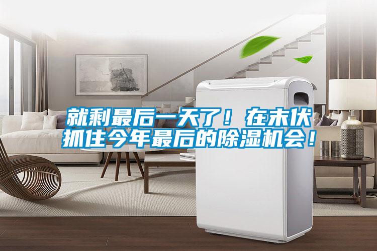 就剩最后一天了！在末伏抓住今年最后的除濕機會！