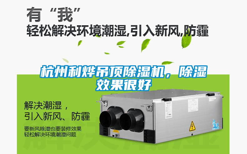杭州利燁吊頂除濕機，除濕效果很好