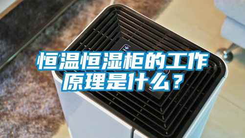 恒溫恒濕柜的工作原理是什么？