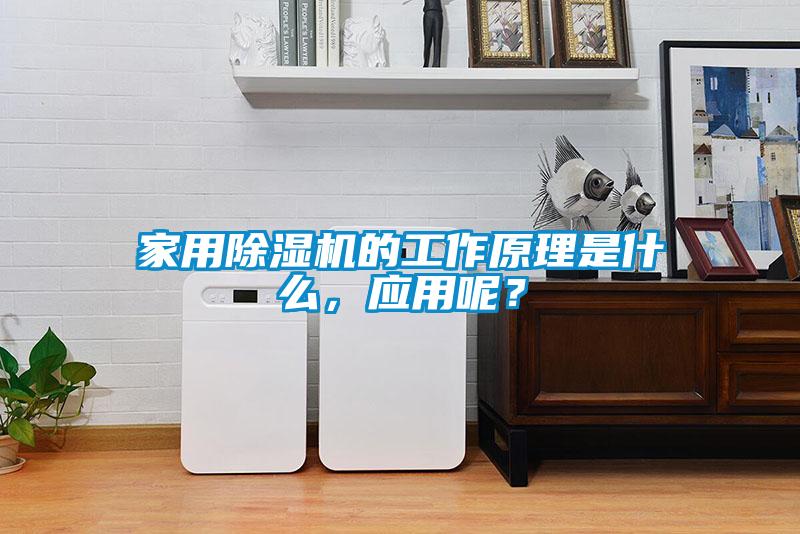 家用除濕機的工作原理是什么，應用呢？