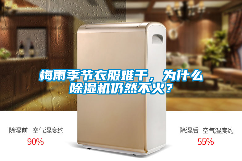 梅雨季節衣服難干，為什么除濕機仍然不火？