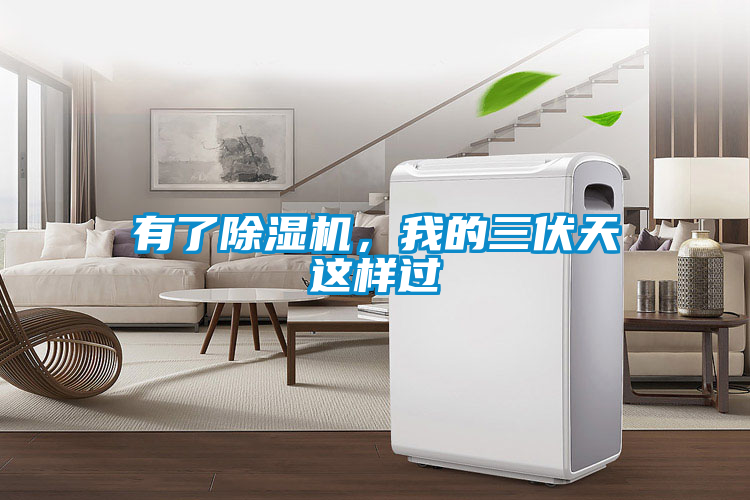有了除濕機，我的三伏天這樣過