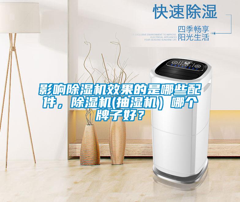影響除濕機效果的是哪些配件，除濕機(抽濕機）哪個牌子好？