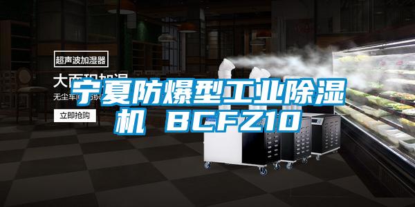 寧夏防爆型工業除濕機 BCFZ10