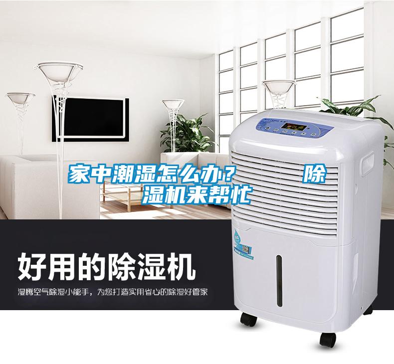 家中潮濕怎么辦？    除濕機來幫忙