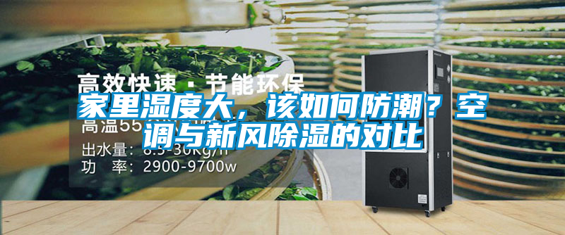 家里濕度大，該如何防潮？空調與新風除濕的對比
