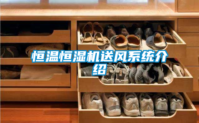 恒溫恒濕機送風系統介紹